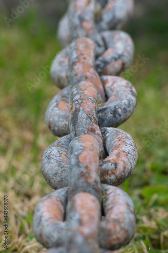 Eslabones de hierro. Cadena de eslabones con herrumbre  hierro junto al mar en cesped photo