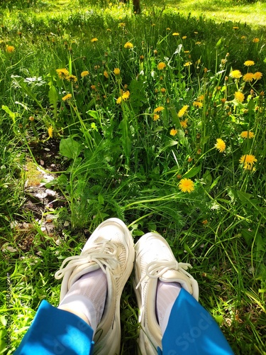 feet in shoes on the grass