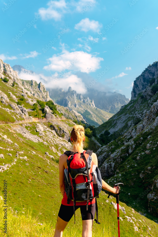 Young Caucasian girl with blond hair and alternative style on her back with backpack and trekking pole contemplating the landscape while hiking in the mountains.