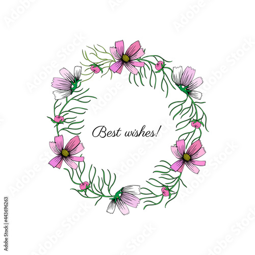 Decorative botanical wreath, round frame Kosmos flower, kosmeya hand drawn doodle ink sketch illustration, wild flower astra, floral design for greeting card, wedding invite, cosmetic packaging