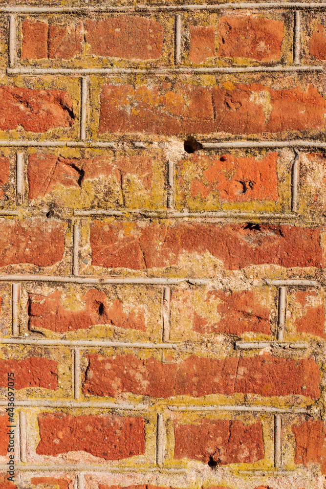 Fototapeta premium Empty old red brick wall background.
