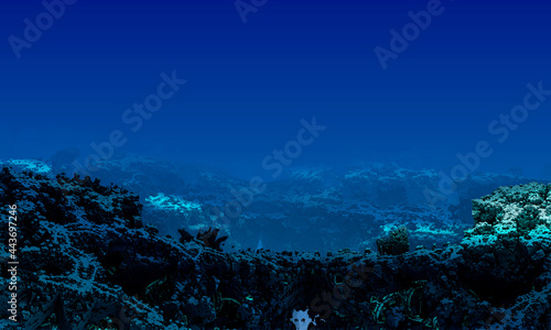 Underwater landscape with corals and free space Computer generated 3D illustration © Denis Starostin