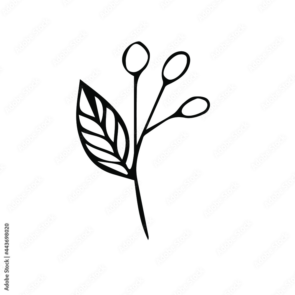 Cute hand drawn set of graphic floral and herbal elements. Doodle vector illustration isolated on white background for wedding design, logo and greeting card.