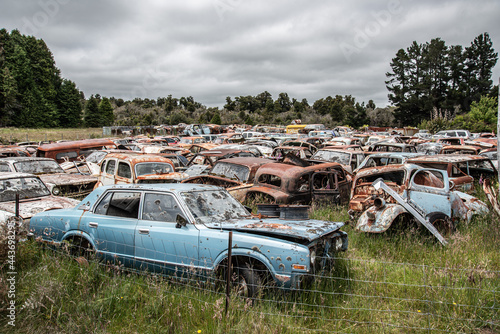 Antique cars on a big scrapyard at the end of Old Coach Road Trail, New Zealand photo