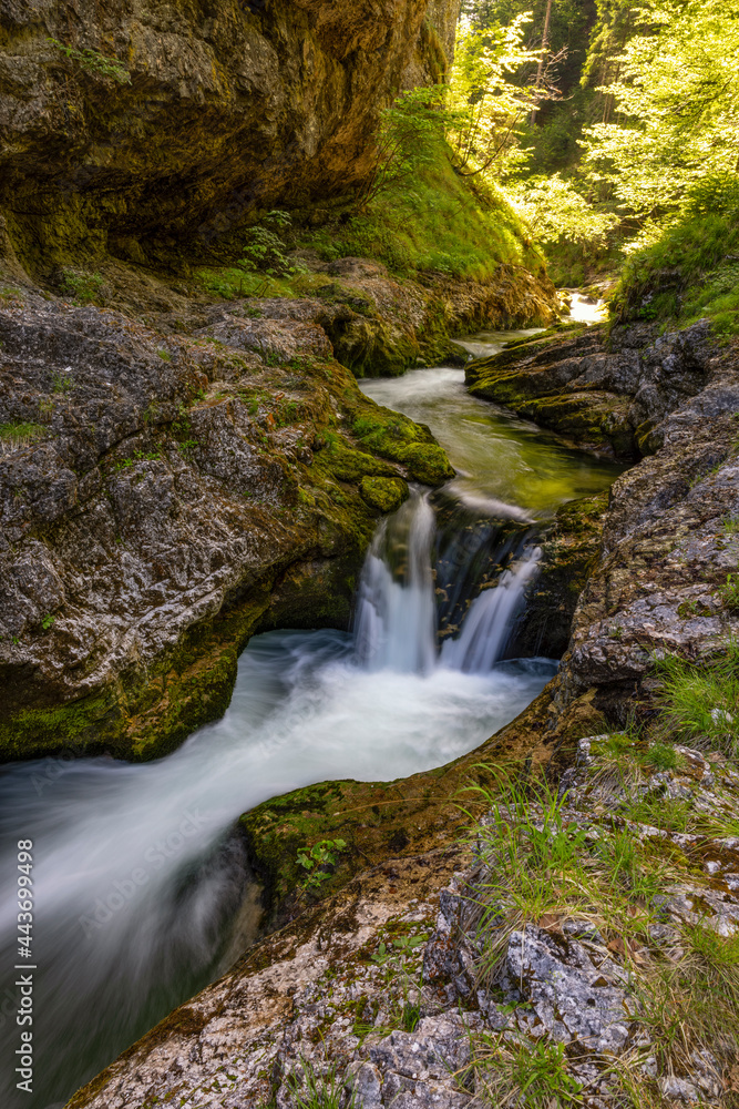 der Fluss Weißbach bei Bad Reichenhall der Fluss Weißbach bei Bad Reichenhall