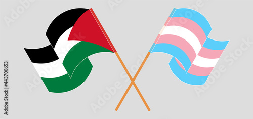 Crossed and waving flags of Palestine and Transgender Pride