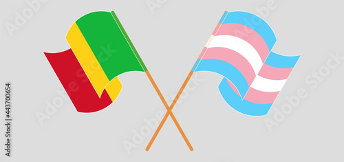 Crossed and waving flags of Mali and Transgender Pride
