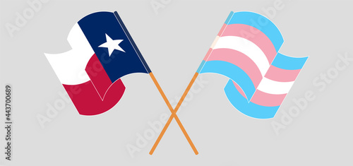 Crossed and waving flags of the State of Texas and Transgender Pride