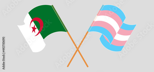 Crossed and waving flags of Algeria and Transgender Pride