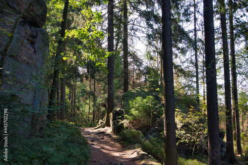 Wandern im Elbsandsteingebirge