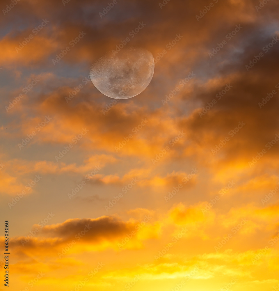Moon Sky Orange Sunset Scenic Vertical
