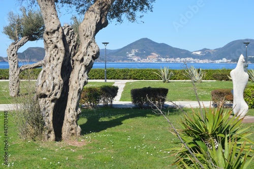 Sveti Stefan, Montenegro. Very popular touristic centre, island and mediewal city-hotel. Viewcity park with old olive.