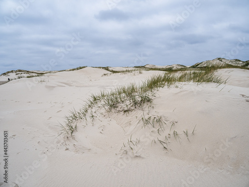 Fototapeta Naklejka Na Ścianę i Meble -  Sand dune landscape called Ladder to heaven on the island of Amrum, Germany.