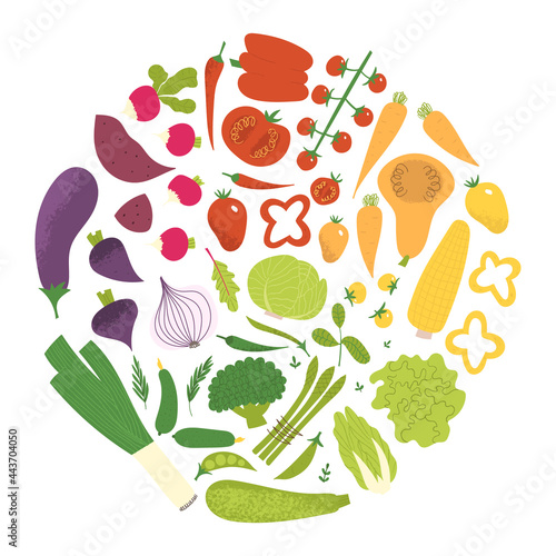 Eat the rainbow concept. Healthy vegan eating awareness poster. Color spectrum of vegetables: tomato, carrot, pepper, broccoli, onion, eggplant. Healthy salad ingredients.