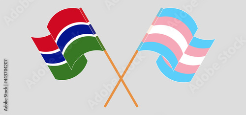 Crossed and waving flags of the Gambia and Transgender Pride