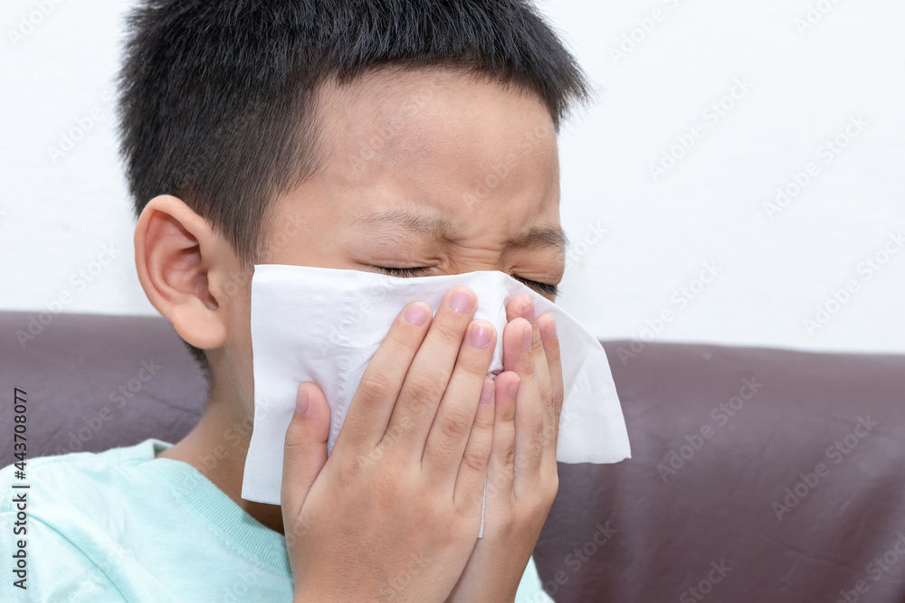 Asian little boy blowing his nose or cleaning nose with tissue. The little boy was sick and was sneezing. Asian little boy blowing his nose or cleaning nose with tissue. The little boy was sick and was sneezing.