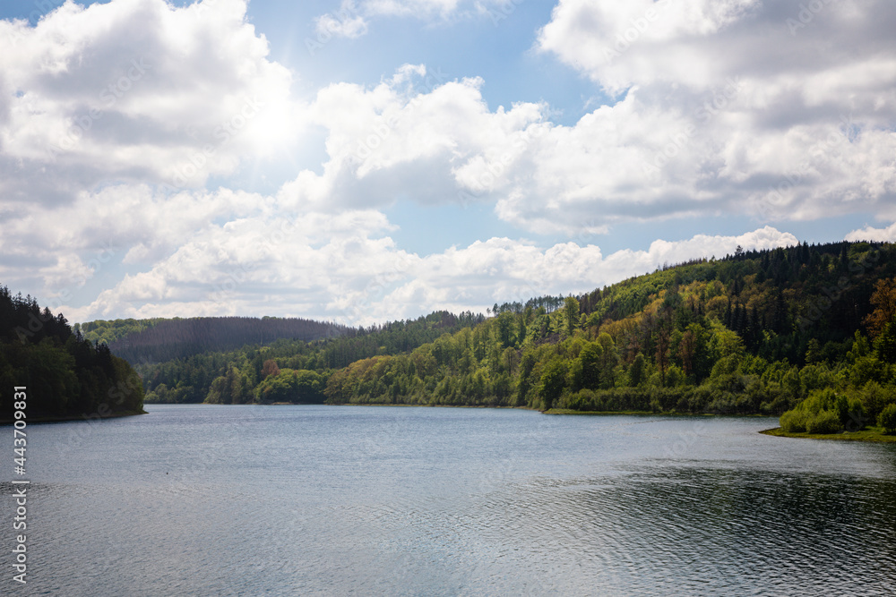 Fototapeta premium lake in the forest