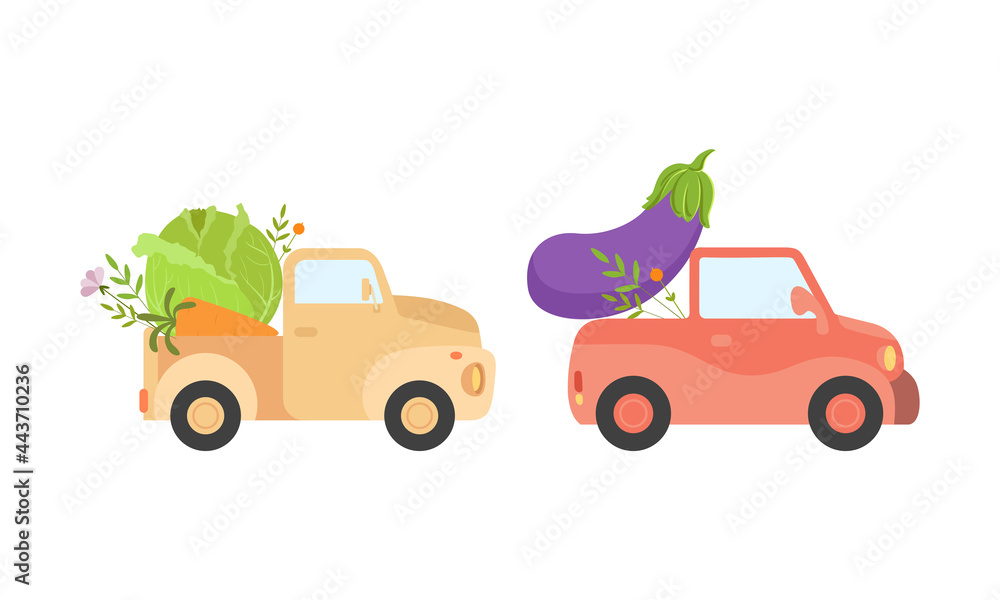 Fototapeta premium Cute Cars Delivering Vegetables, Small Trucks Shipping Eggplant and Cabbage Fresh Ripe Vegetables Cartoon Vector Illustration