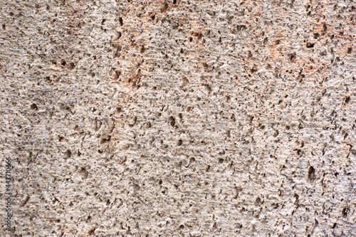 Closeup of gray brown textured stone.