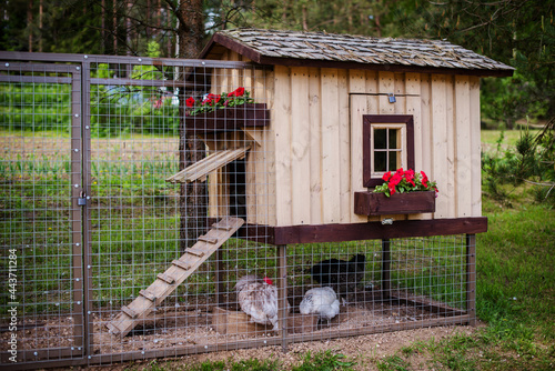 Beautiful wooden chicken coop house on the farm. Henhouse. photo