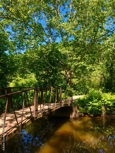 bridge over the river