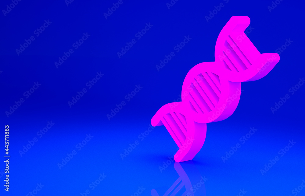 Fototapeta premium Pink DNA symbol icon isolated on blue background. Minimalism concept. 3d illustration 3D render