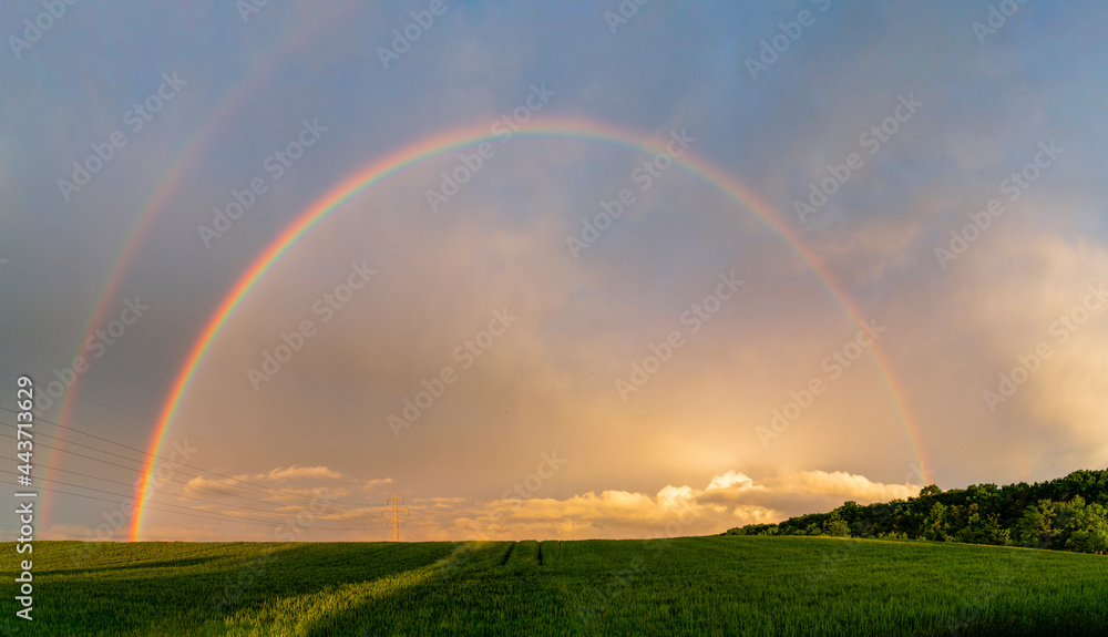 Rainbow with wheat land after the rain at sunset Rainbow with wheat land after the rain at sunset