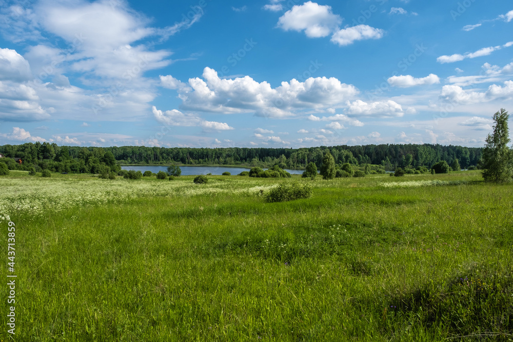 Beautiful summer landscape with a field and a river and a beautiful cloudy sky.