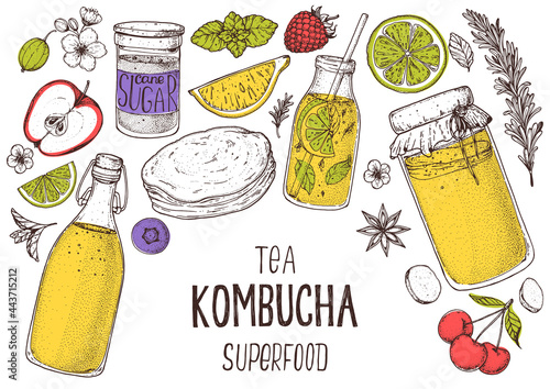 Kombucha tea and ingredients for kombucha sketch. Hand drawn vector illustration. Kombucha drink. Tea mushroom, tea fungus, or Manchurian mushroom.