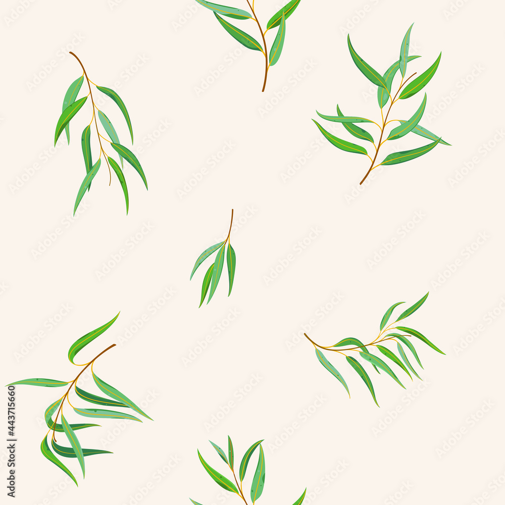 Branch of eucalyptus tree. Trendy pattern with twig. Vector contour illustration.