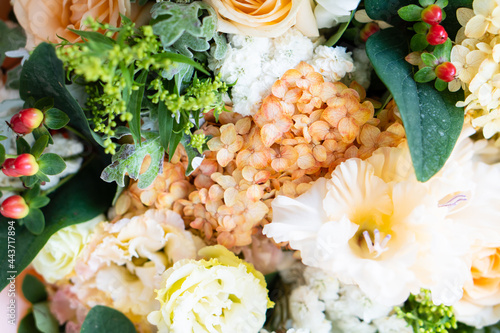 Beautiful floral background, assorted white and beige flowers, bouquer of roses and hydrangeas