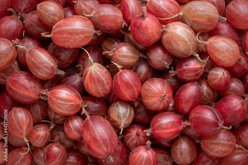 Background of red gooseberries close up. photo