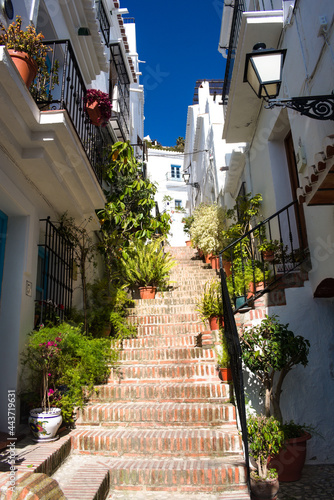 Frigiliana village Spain. Picturesque lane in the old town. Steep steps lined with colorful flowers. Typical Spanish scene. Vertical shot.  © John