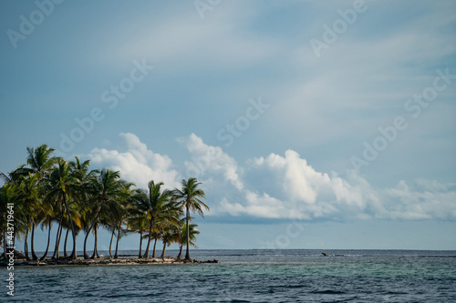 Small tropical island with coconut palm trees and white sand beach. Vacation and travel concept 