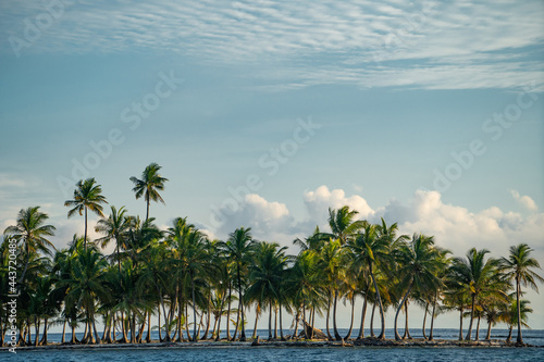 Fototapeta Naklejka Na Ścianę i Meble -  Row of palm trees on the small island in the sea. Adventure, vacation and travel concept 