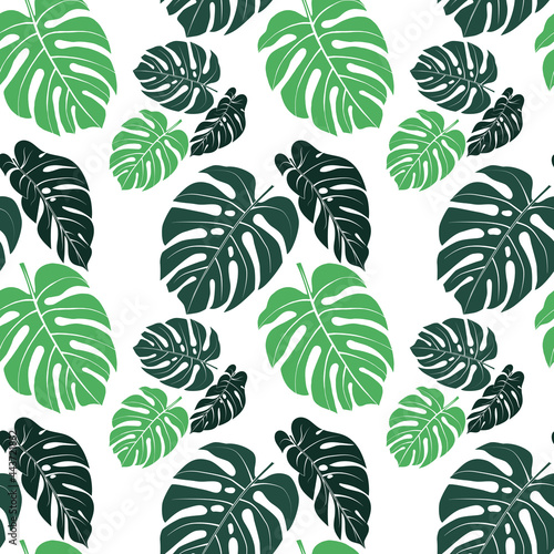Seamless pattern tropical monstera leaves vector illustration