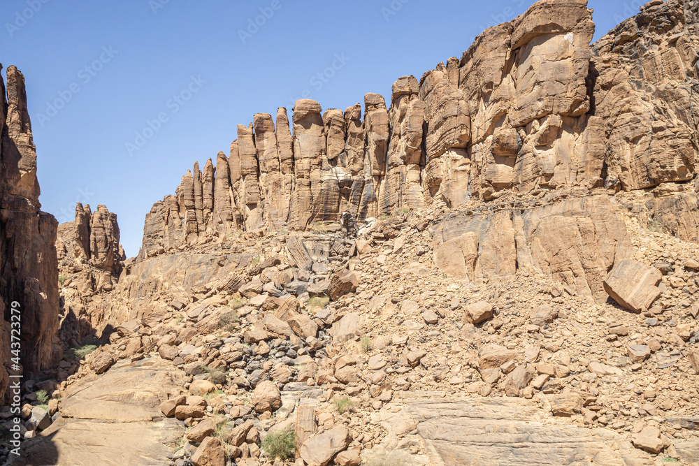 Panorama inside canyon aka Guelta d'Archei in East Ennedi, Chad, Africa