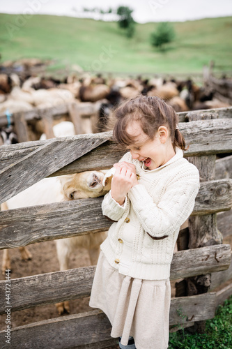 Little girl feeding goats on the farm. Agritourism concept. Life in the countryside