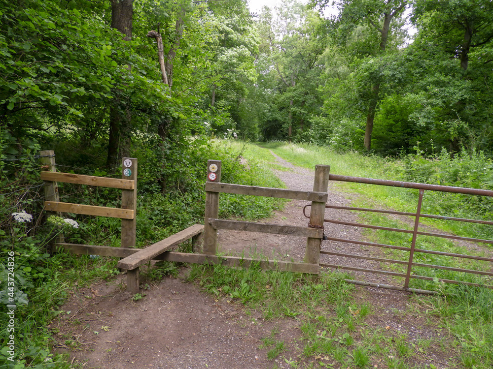 wooden stile in the woods wooden stile in the woods