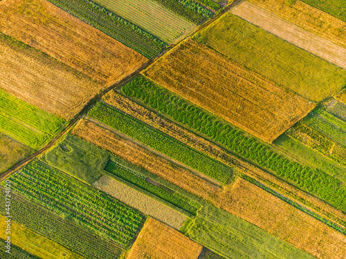 Patterned corn and other crops farms near the town 1 © Oleh Rode