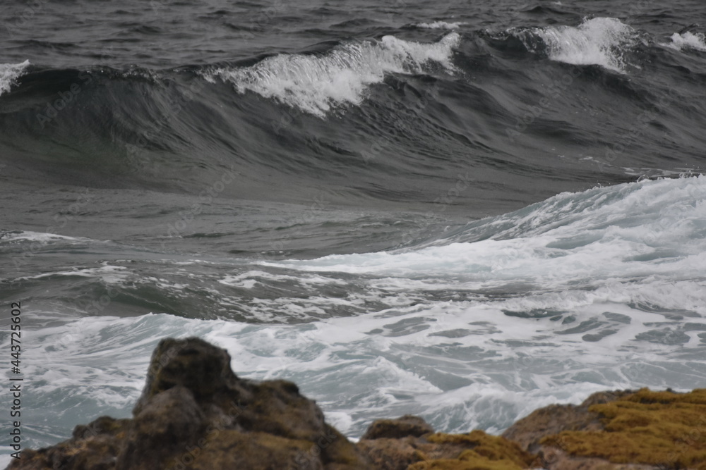 Fototapeta premium the waves showing their power
