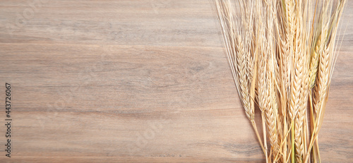 Ears of wheat grains on the wooden table.