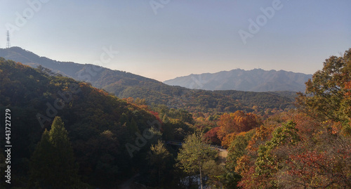 Korean Autumn Mountain