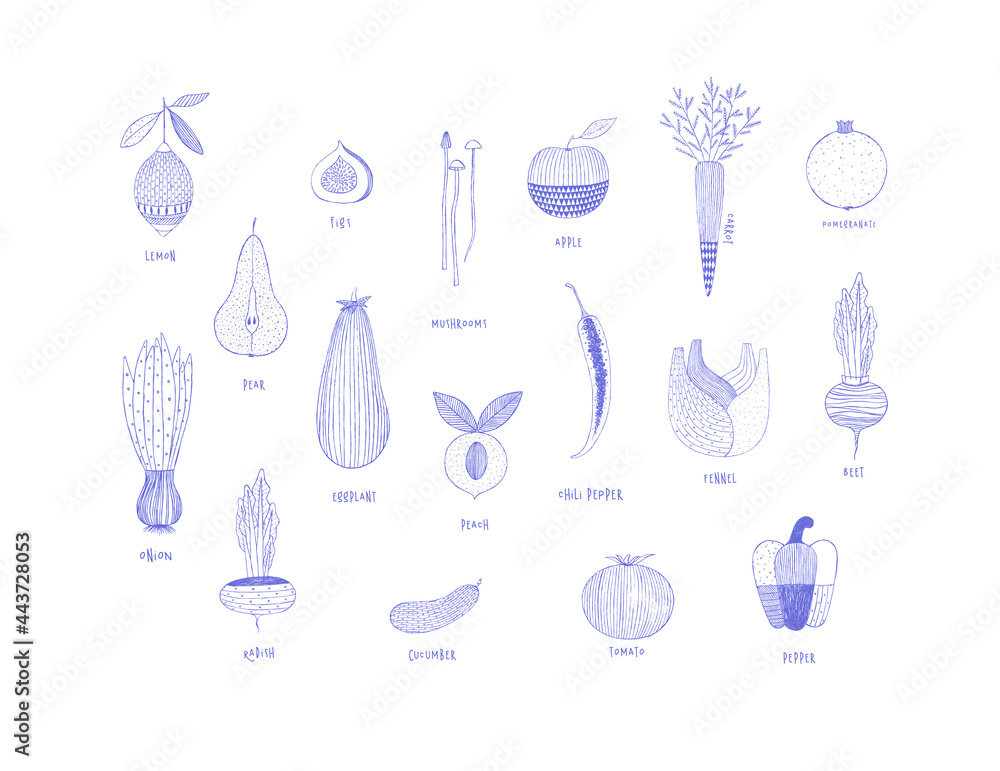 Fruits and vegetables hand drawn ornament style blue