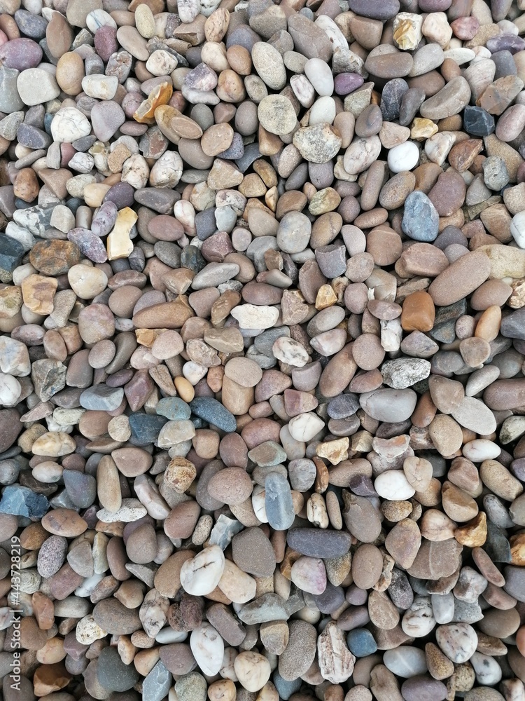 Mixed Stone Pebbles Texture Mixed Stone Pebbles Texture