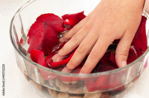 Hands of girl washing in water with red roses to massage hands, professional manicurist concept.