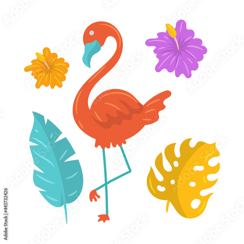 Hello Summer Flamingo with tropical plants vector illustration, flat design