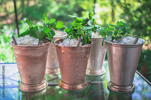 mint julep kentucky derby