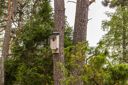 Close up view of cute birdhouse on forest tree. Sweden. 