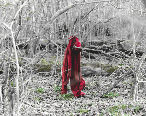 little red riding hood in the woods